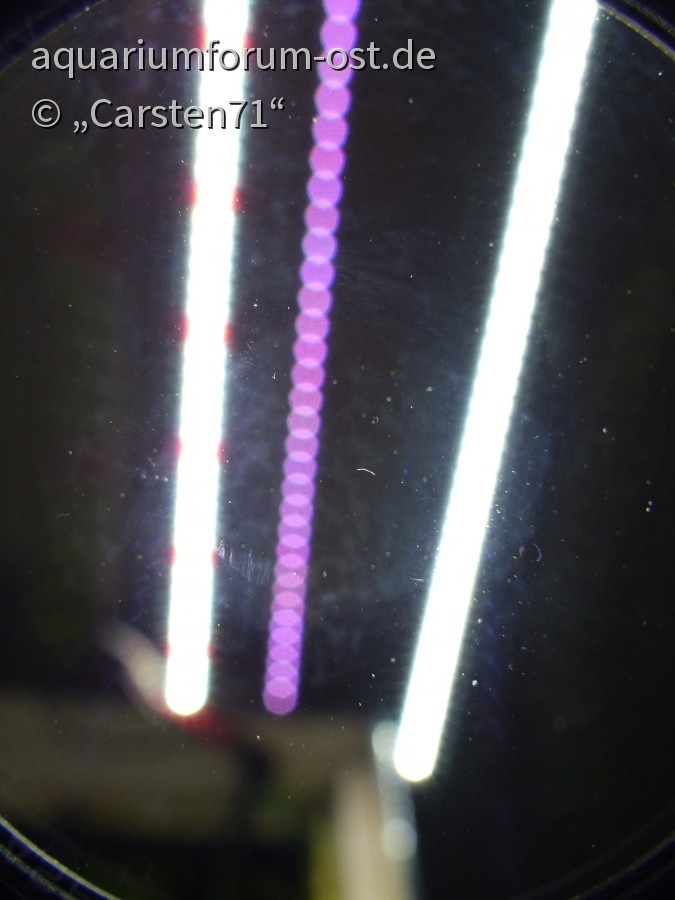 LED- Rigid Strips