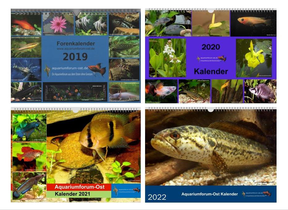 Forenkalender Aquariumforum-Ost von 2019 bis 2022