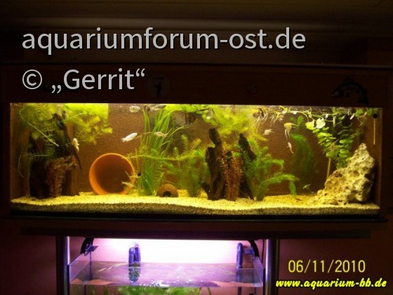 480l Aquarium
