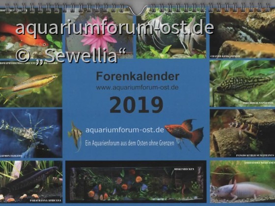 Forenkalender Aquarium-Forum Ost 2019
